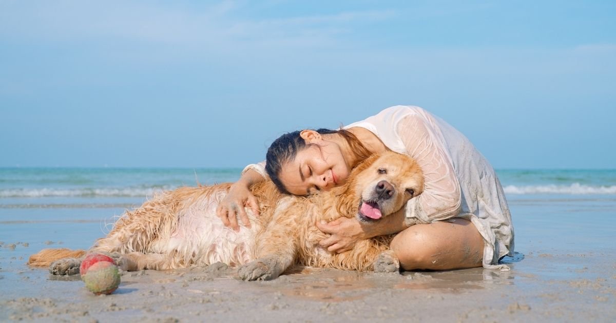 Ração para cães com falta de inositol
